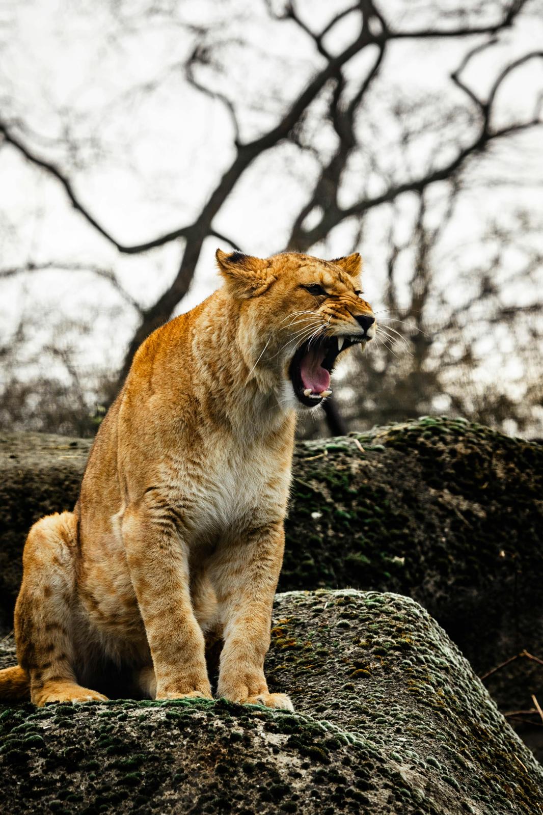 What the Enemy Meant for Harm, God Used for My Strength